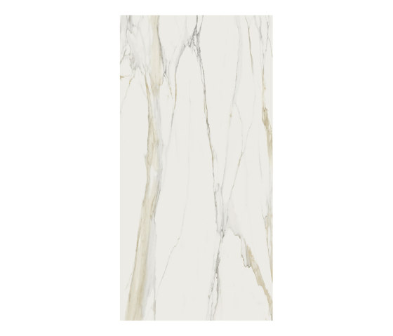 FLORIM_MARBLE CALACATTA GOLD_LUC_6_320x160