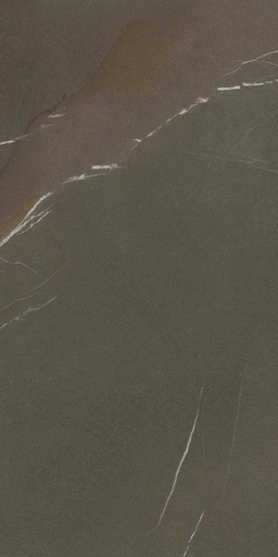 LAMINAM_IN-SIDE PIETRA PIASENTINA TAUPE_NAT_6_300x120