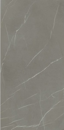 LAMINAM_IN-SIDE PIETRA PIASENTINA GRIGIO_FIAMM_6_300x120